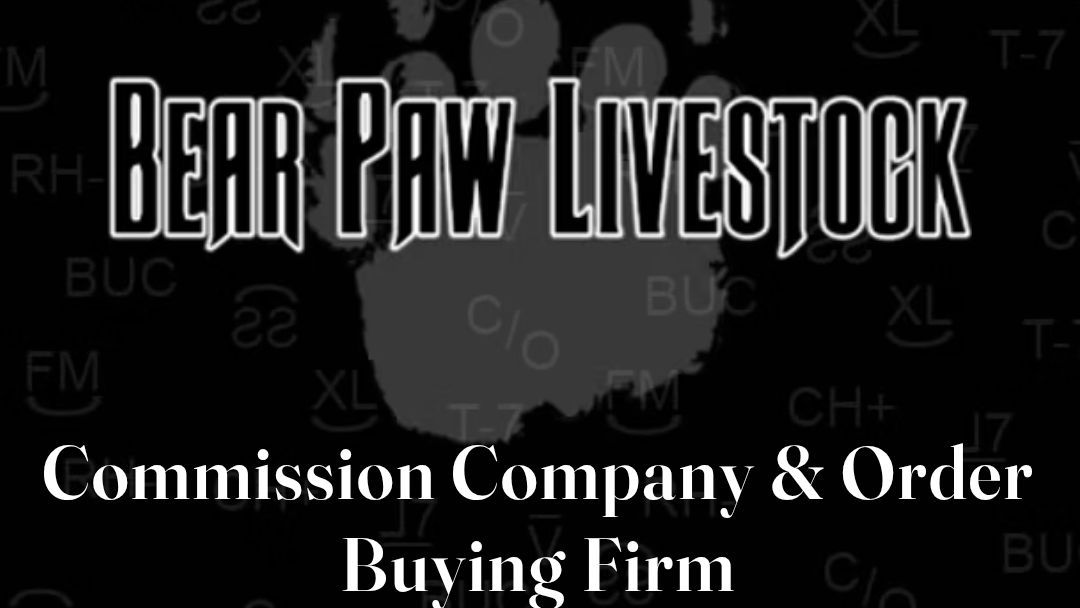 Bear Paw Livestock