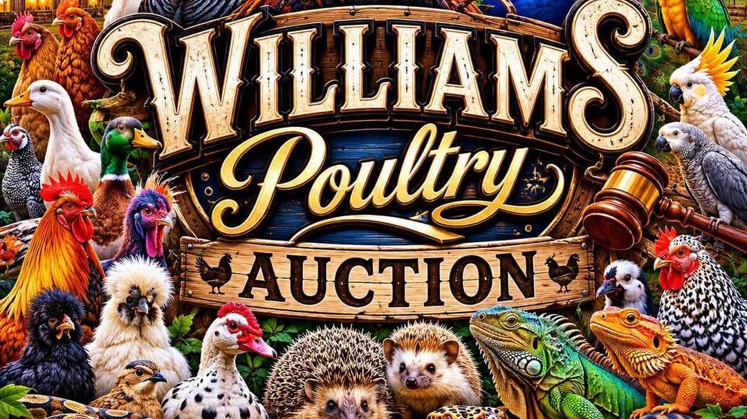 Williams Poultry Auction Poultry/Exotics