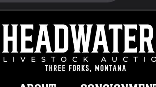 Headwaters Livestock Auction