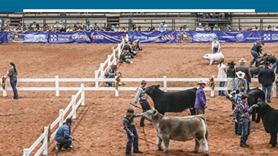 127th Livestock Show