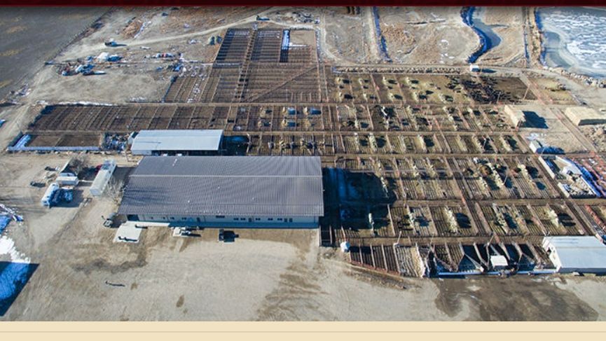 Miles City Livestock Commission