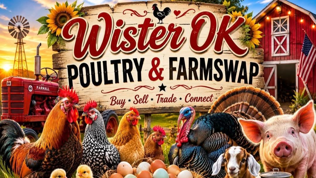 Wister OK Poultry & Farm Swap Poultry/Exotics