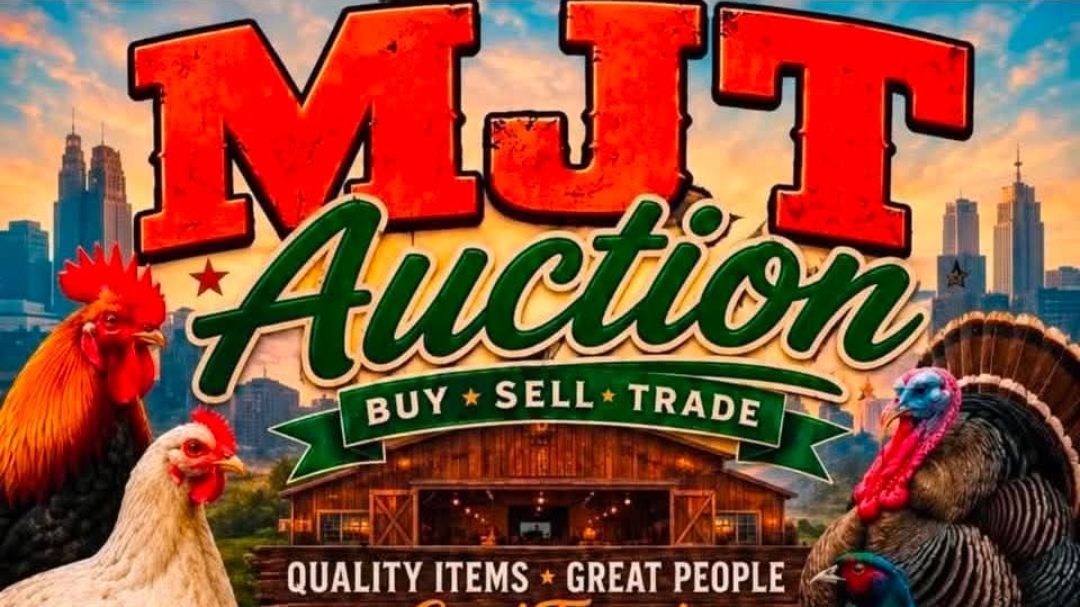 MJT Auctions Poultry/Exotics