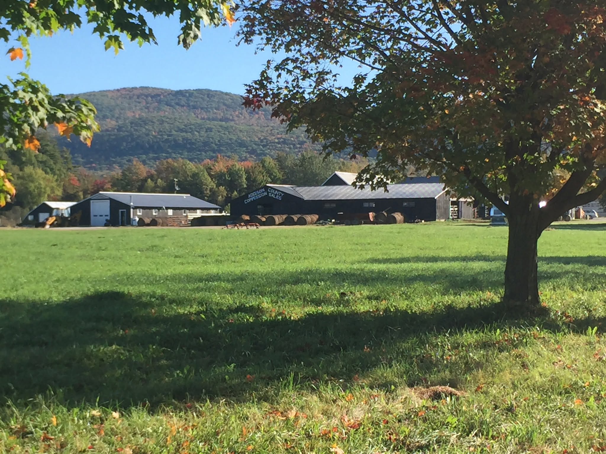 Addison County Commission Sales