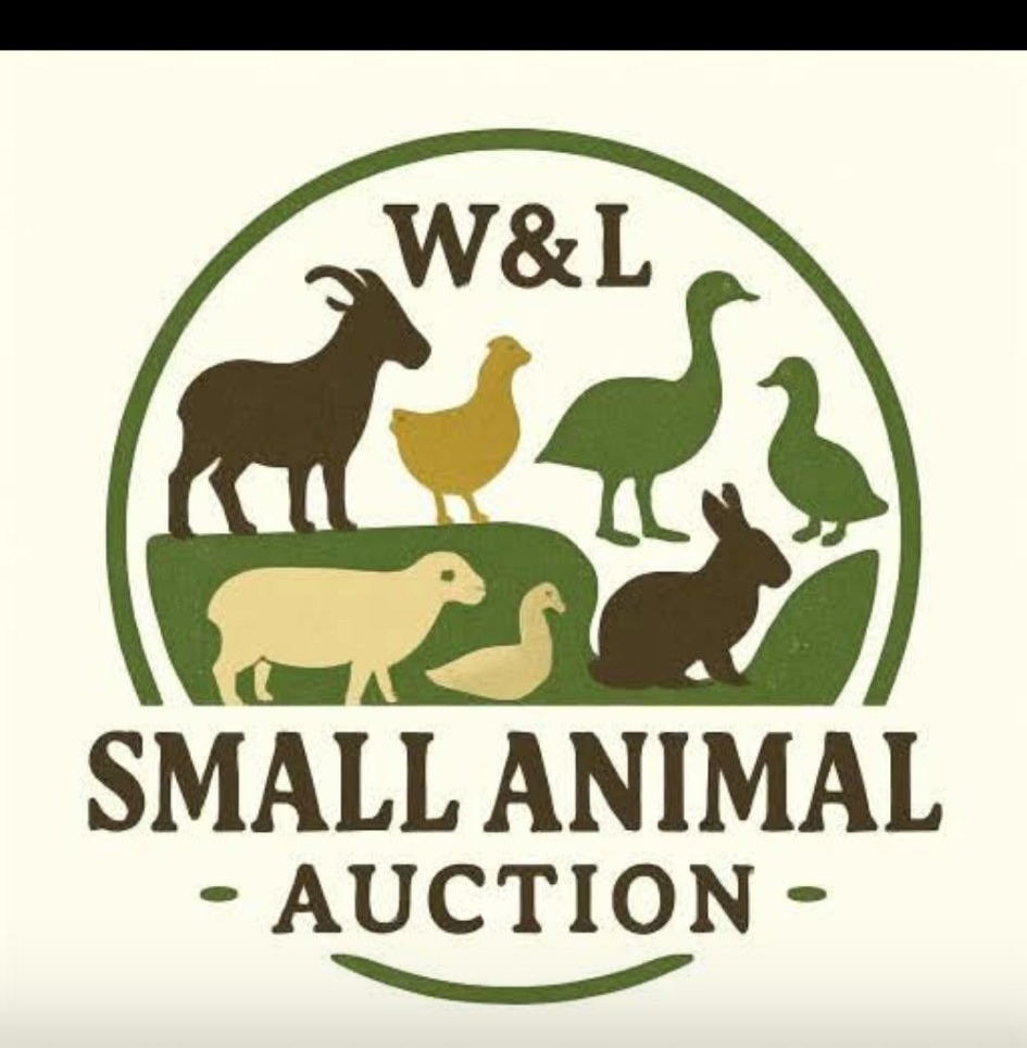 W&L Small Animal Auction