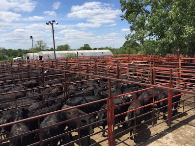 Daviess County Livestock Market Livestock
