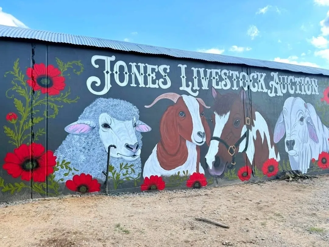 Jones Livestock Auction — Weekly Thursday Sale