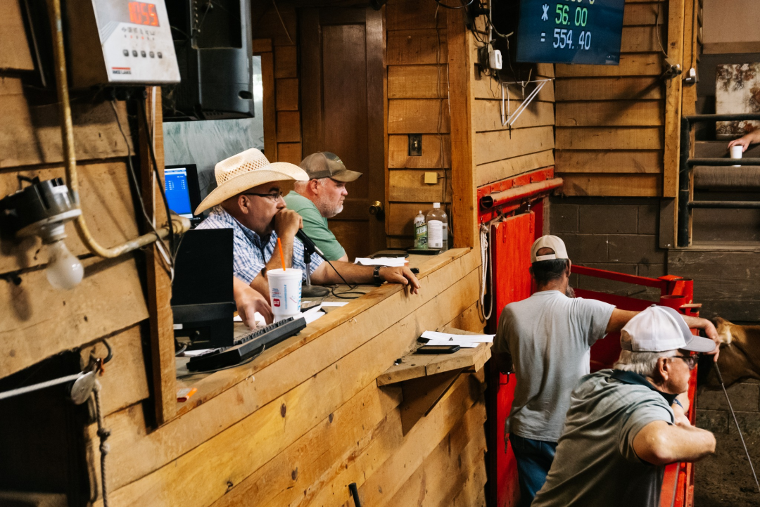 Pulaski Stockyard