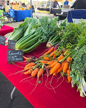 Corpus Christi Southside Farmers Market