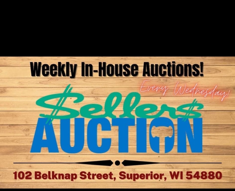 Seller's Auction by Mickey Greene