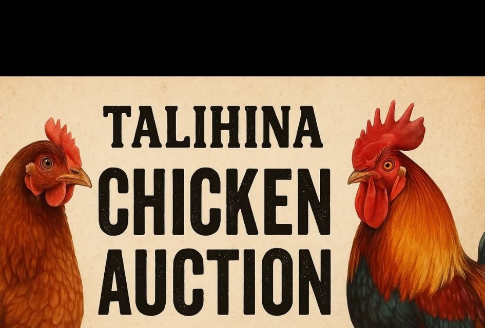 Talihina Chicken Auction