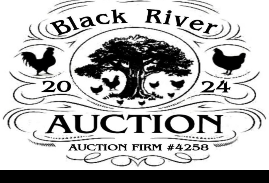 Black River Auction