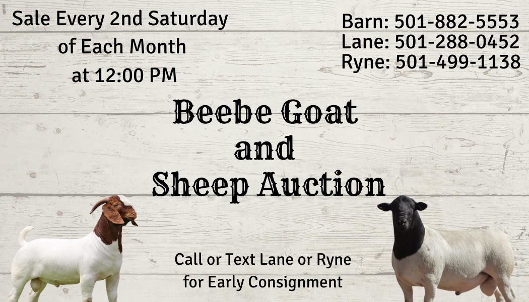 Beebe Goat and Sheep Auction — sale every 2nd Saturday at 12:00 PM