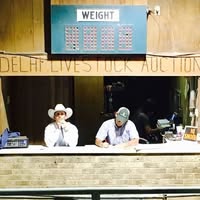 Delhi Livestock Auction Inc