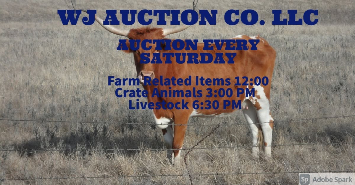 WJ Auction Company LLC