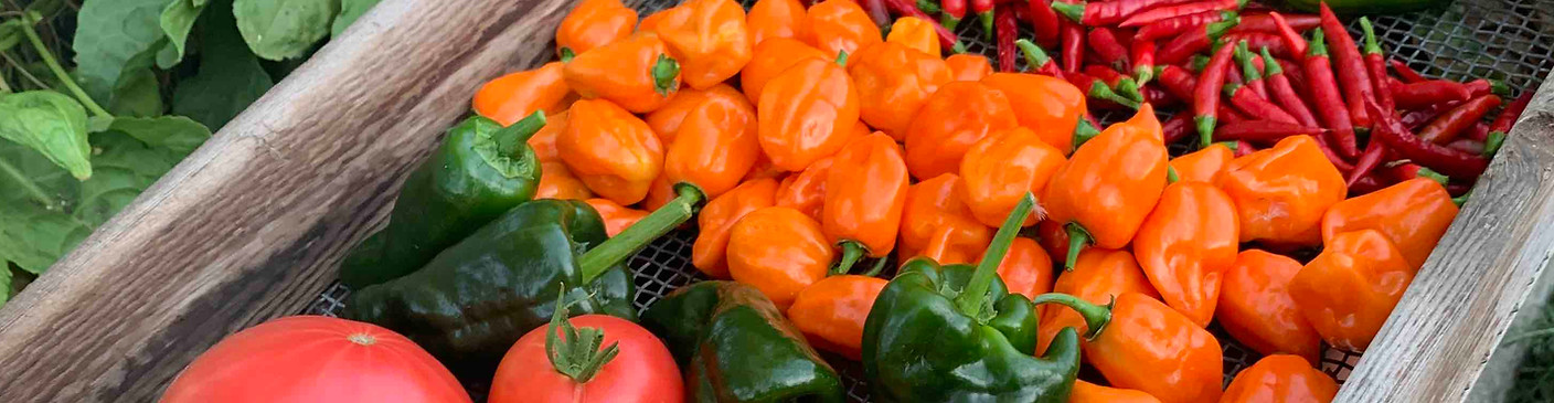 Long Beach Southeast Farmers Market