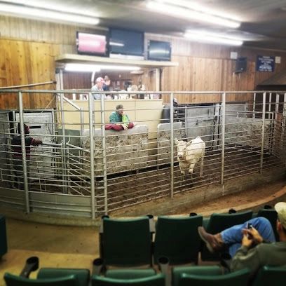 Edna Livestock Auction