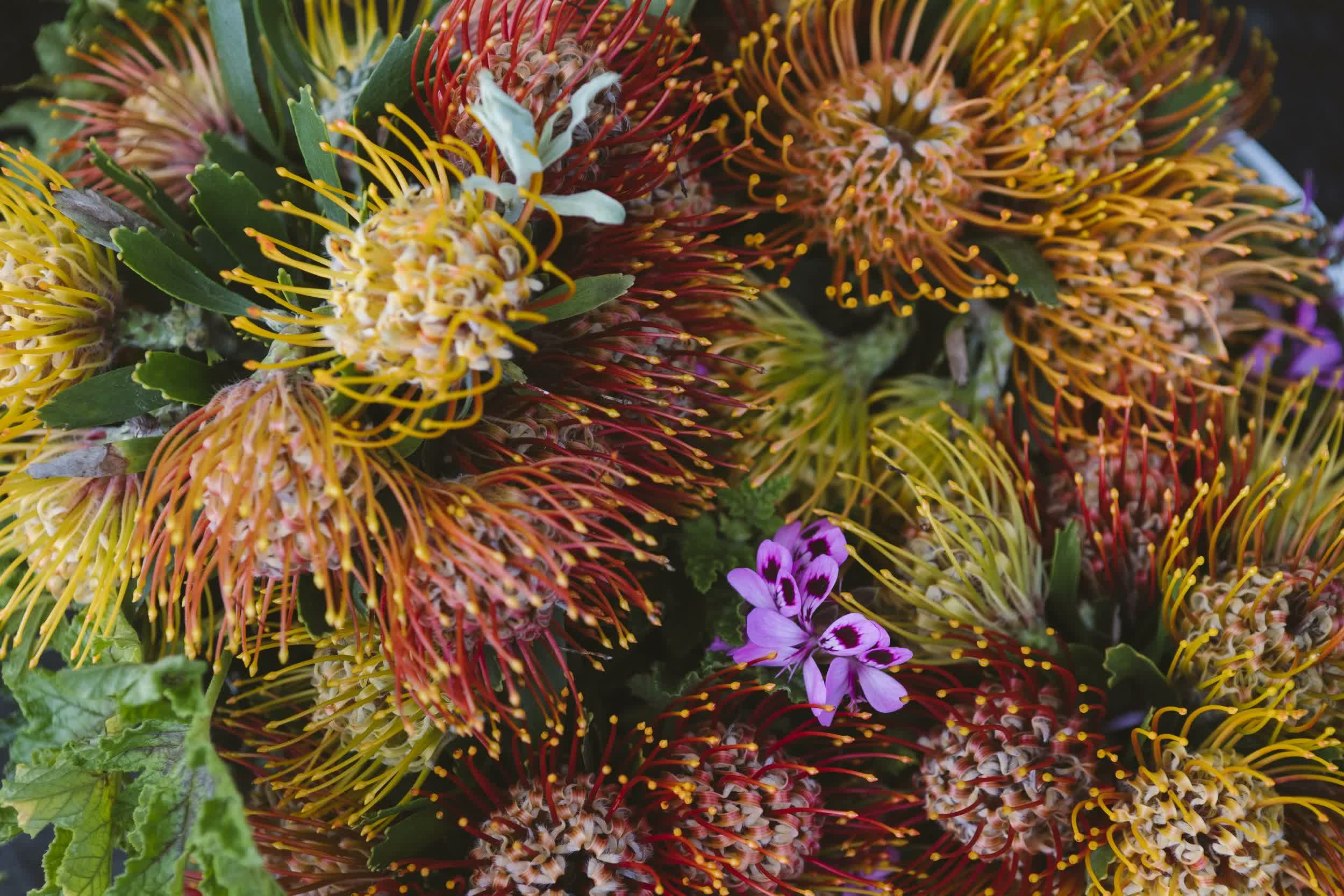 Upcountry Farmers Market