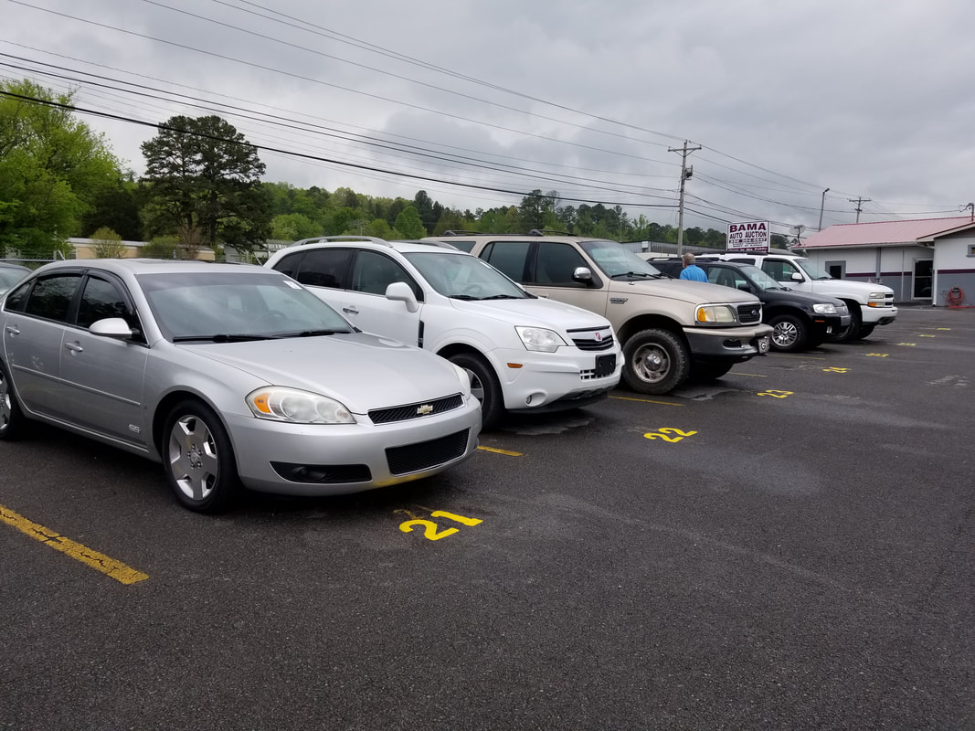 Bama Auto Auction