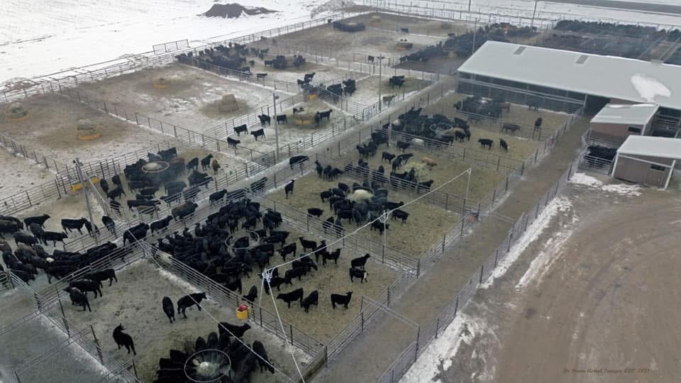 Rich Prairie Livestock Exchange