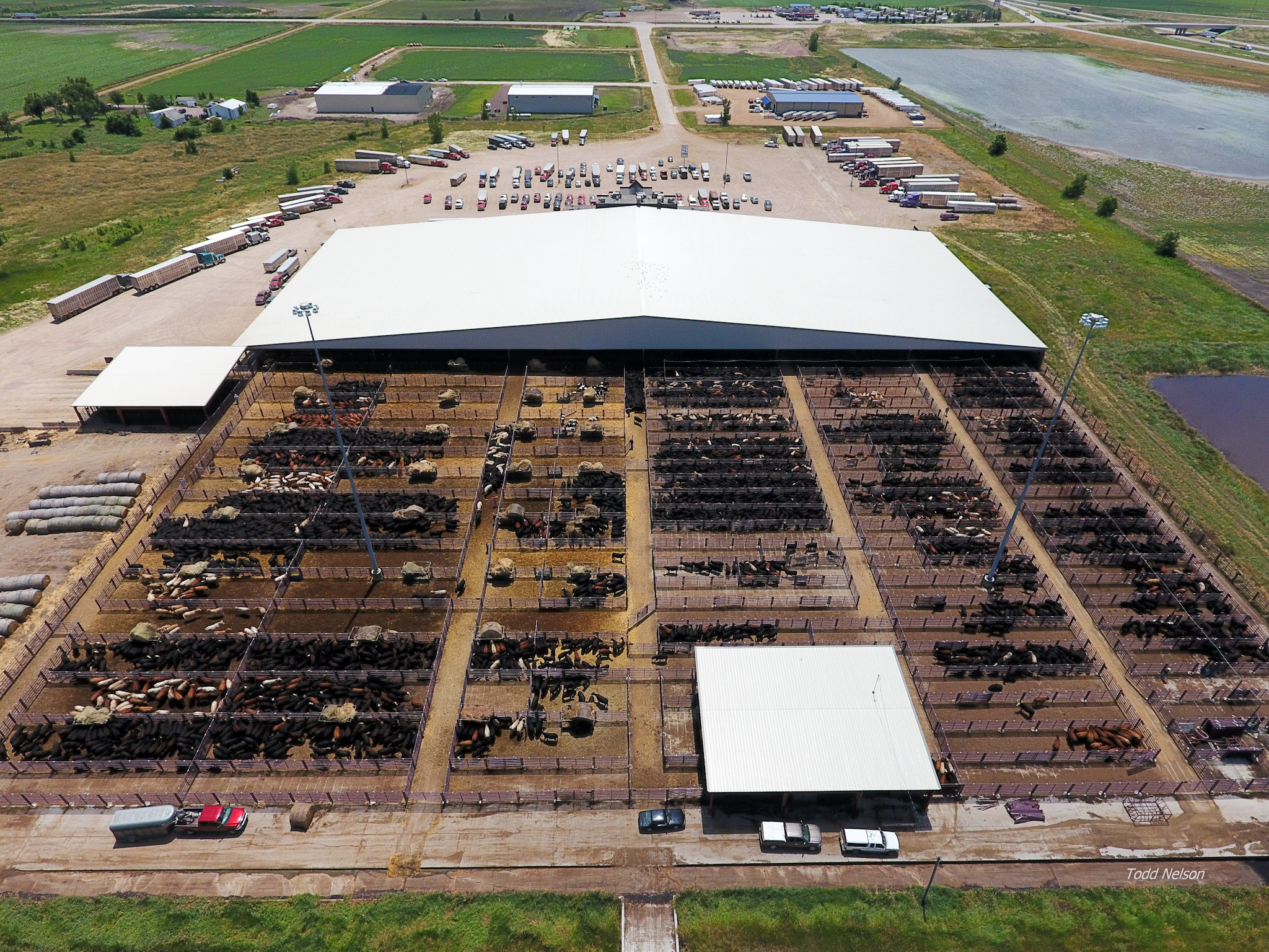 Sioux Falls Regional Livestock