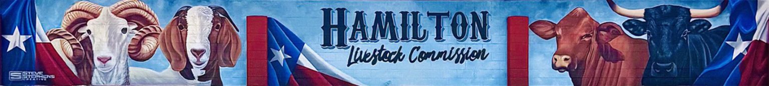 Hamilton Livestock Commission