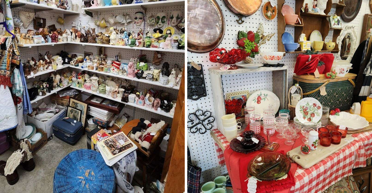 Treasure Island Antique