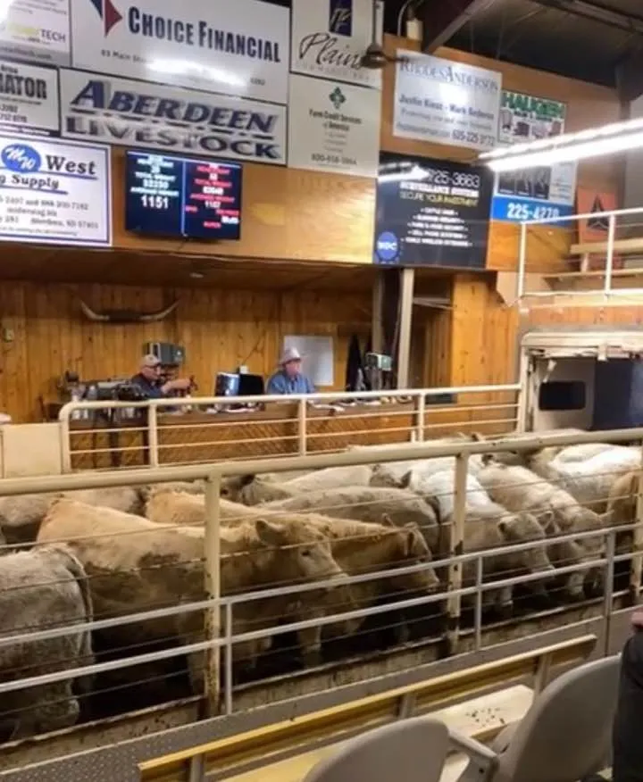 Aberdeen Livestock