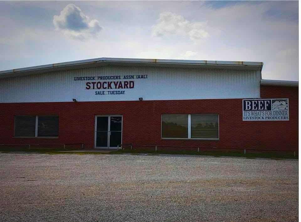 Livestock Producers Sale Barn