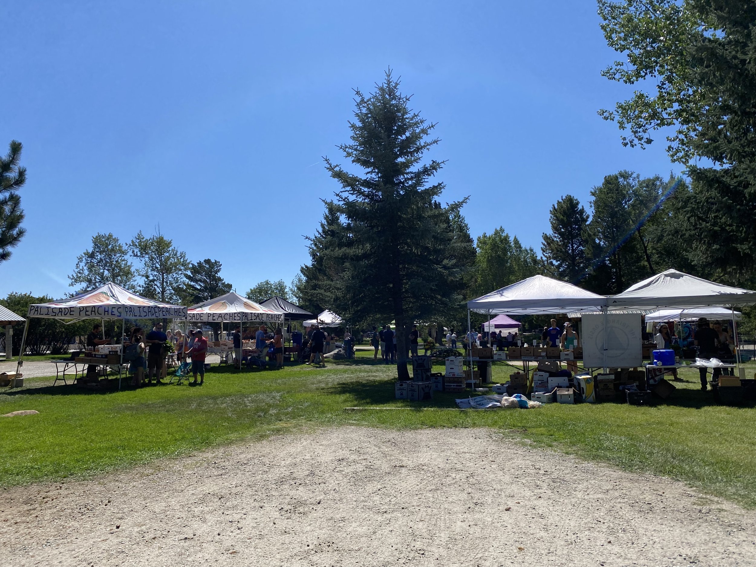 Chaffee County Winter Farmers Market