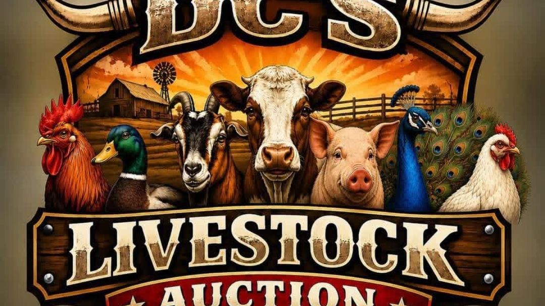 DC's Livestock Auction Livestock