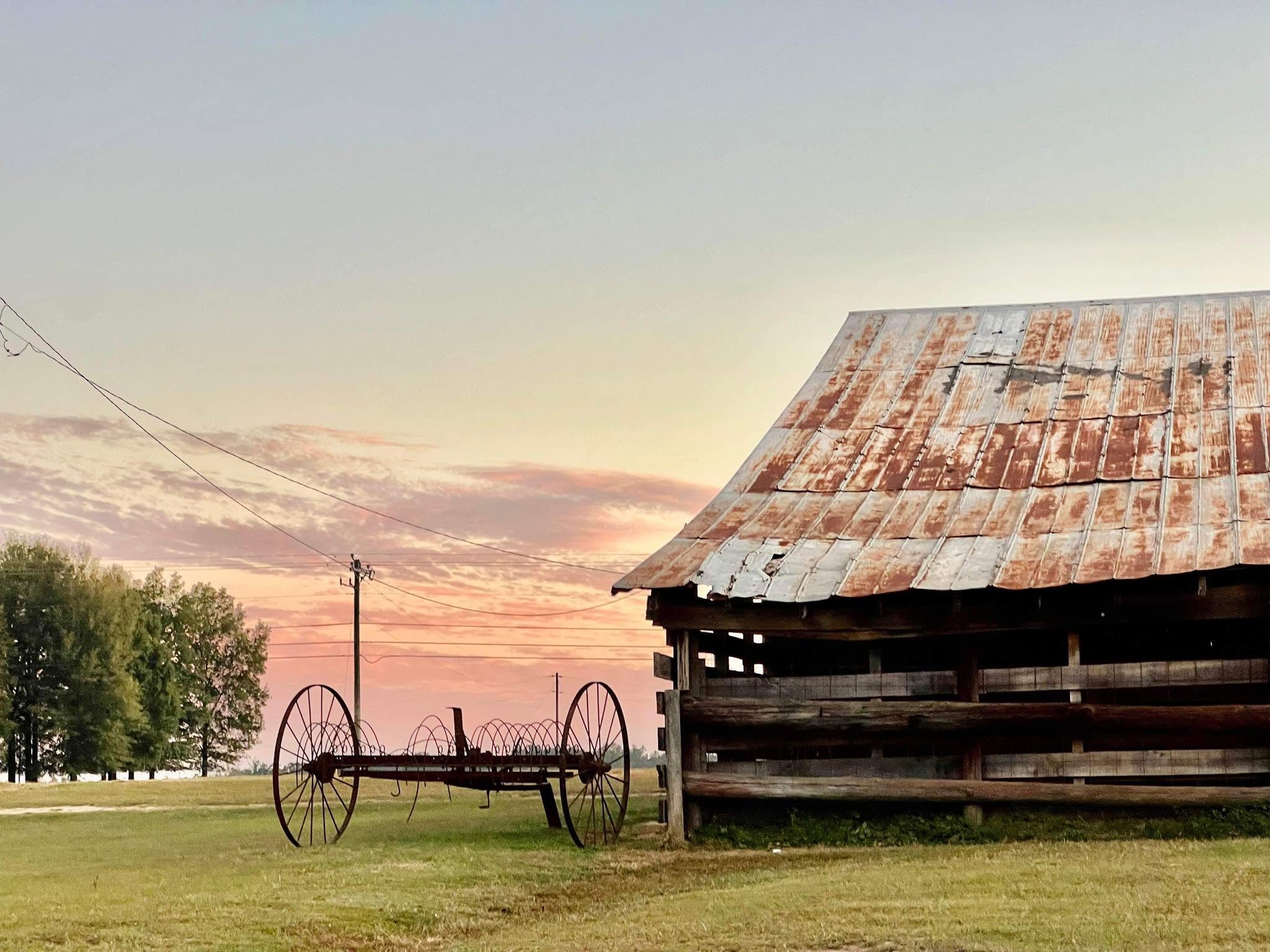 Buggy Town Auction LLC