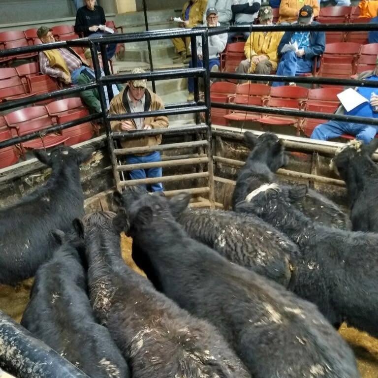 Kentuckiana Livestock Market