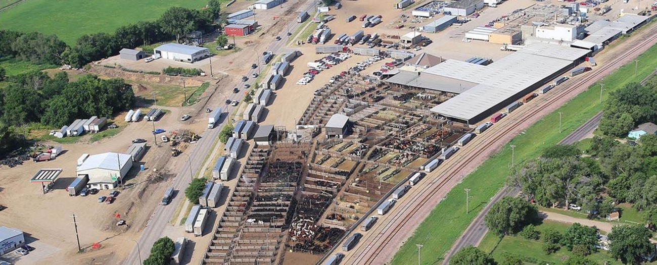 Stockmen's Livestock Market