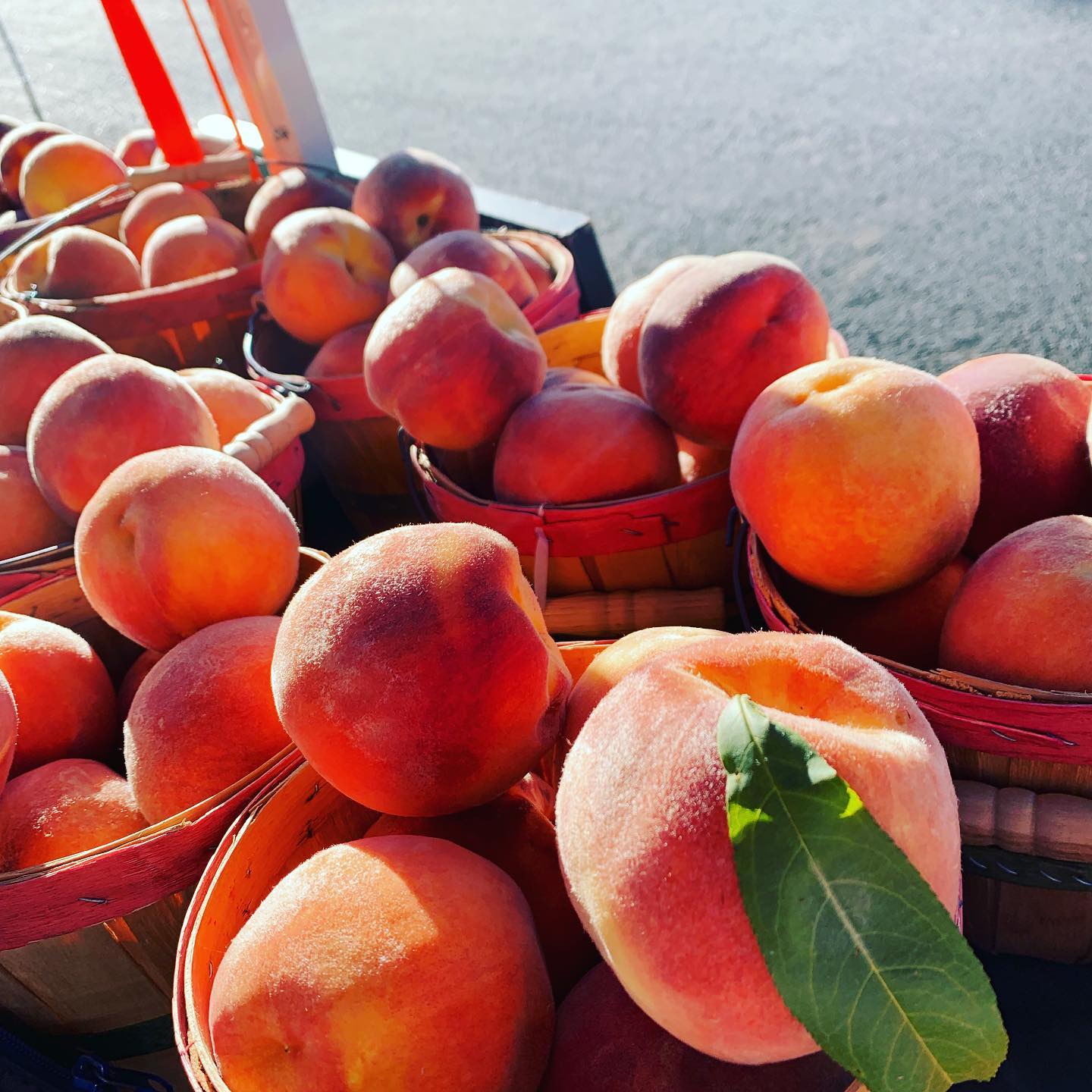 Old Colorado City Farmers Market