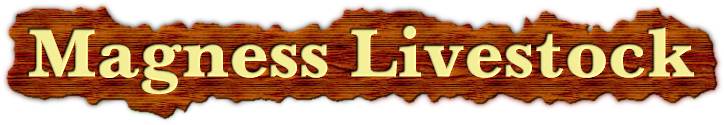 Magness Huron Livestock Exchange