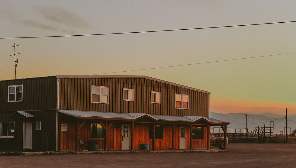 Monte Vista Livestock Auction