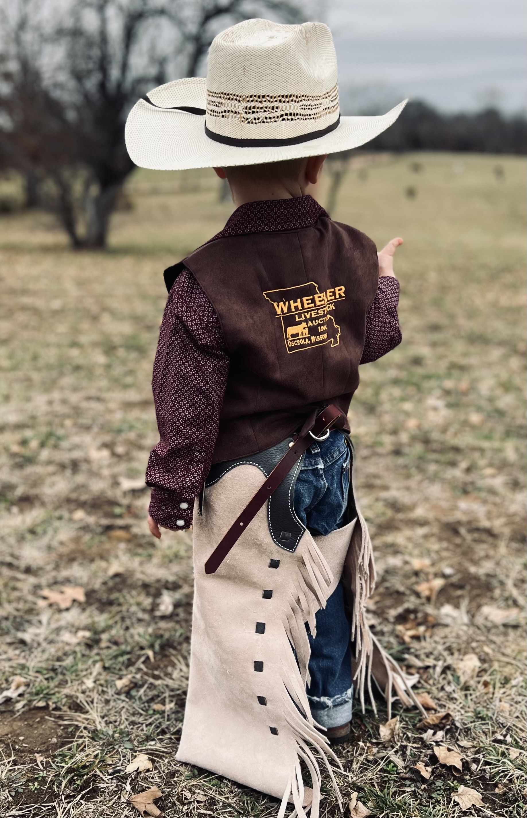 Wheeler Livestock Auction