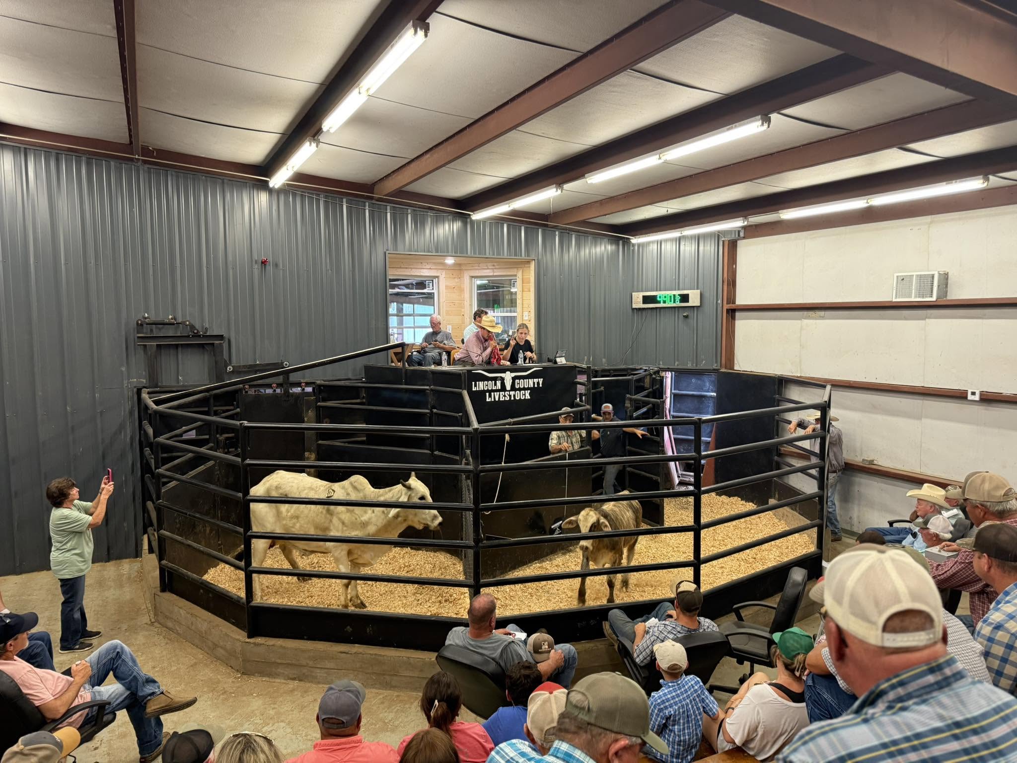 Lincoln County Livestock