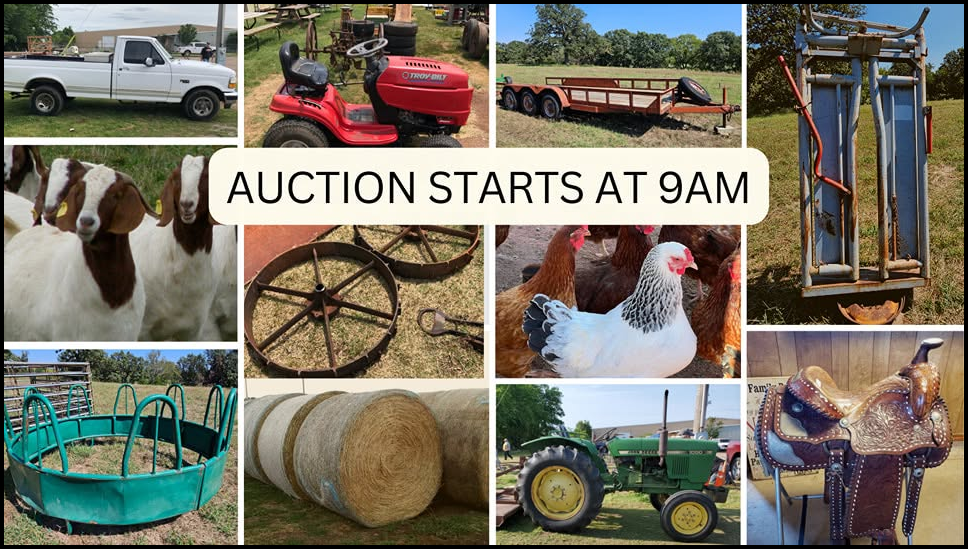 Rose's Weekly Auction
