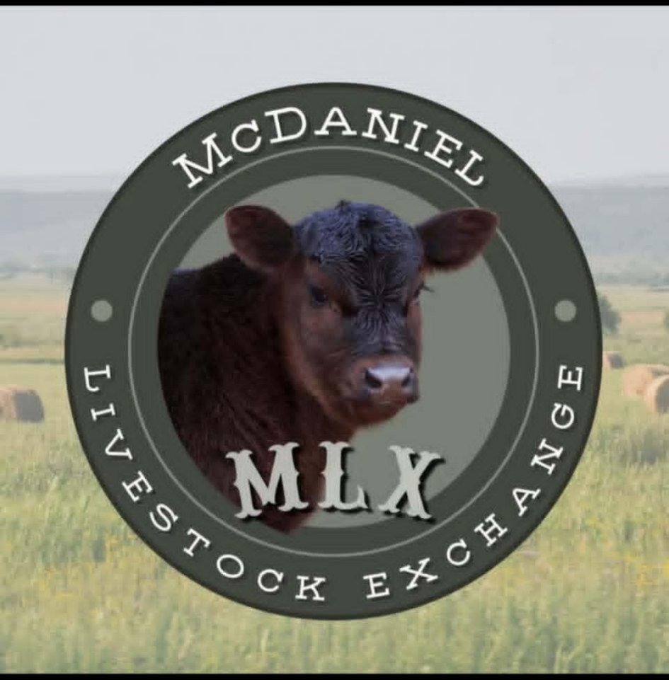 McDaniel Livestock Exchange, LLC