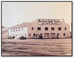 Kalona Sales Barn Inc