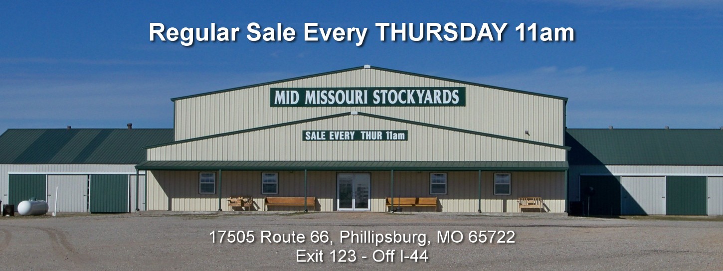 Mid Missouri Stockyards Livestock