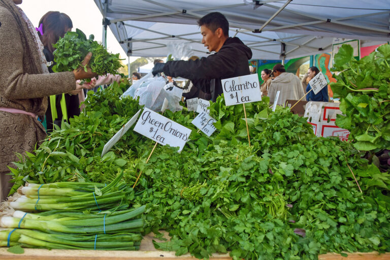 Alemany Farmers Market