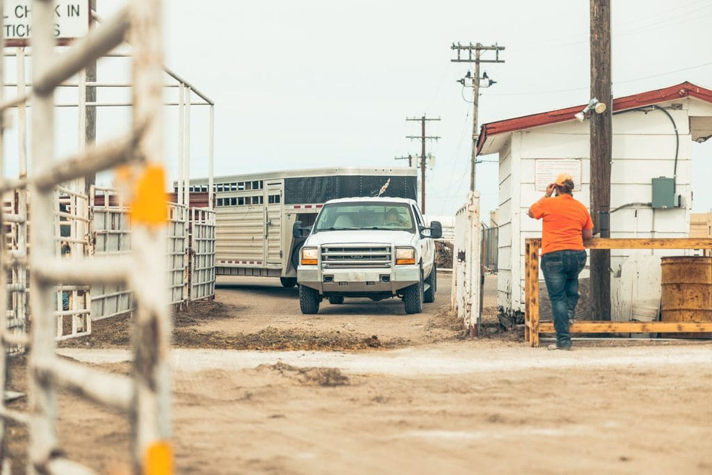 North Platte Stockyards