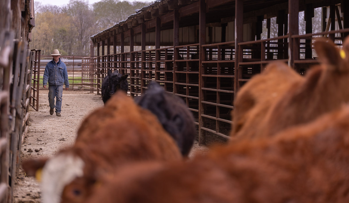 Tri-County Stockyards