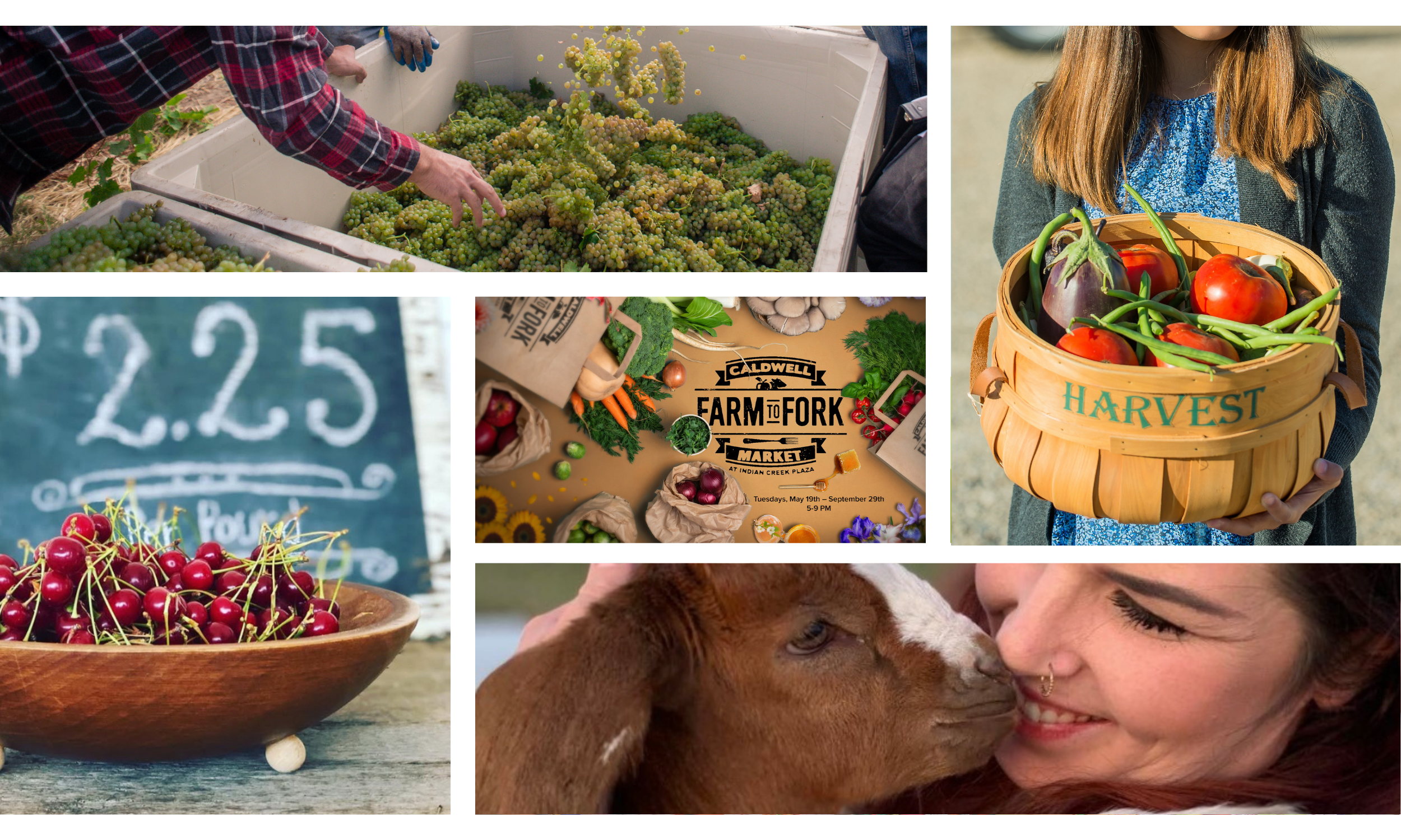Farm to Fork Farmers' Market