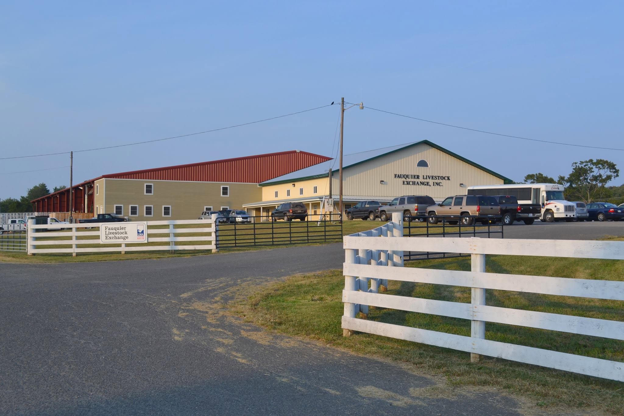 Fauquier Livestock Exchange, Inc.