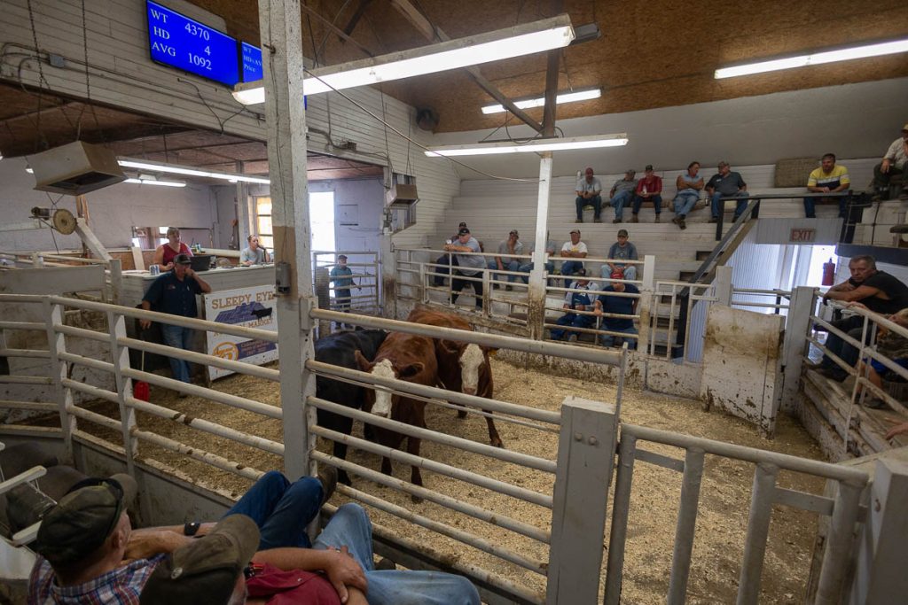 Sleepy Eye Auction Market