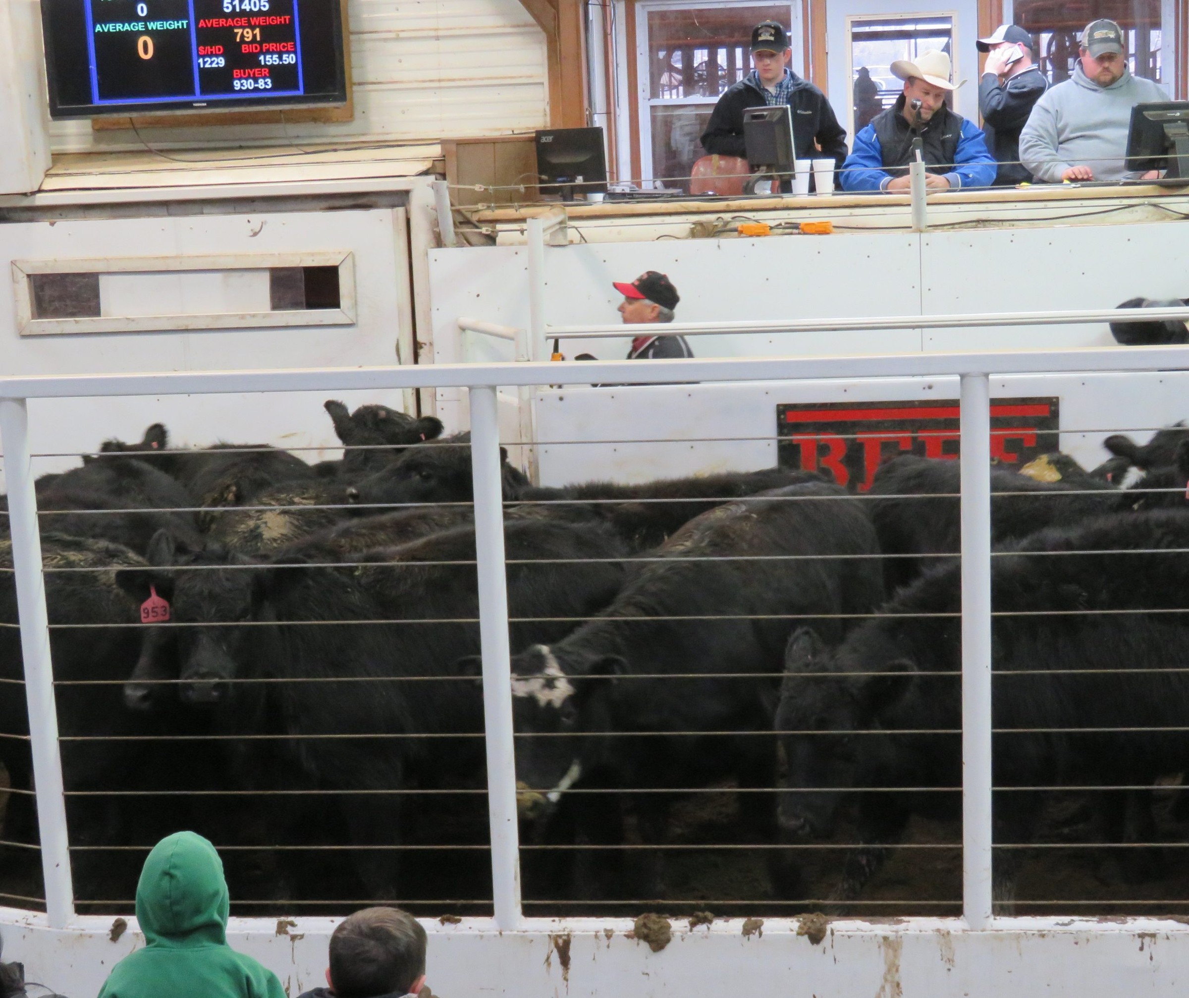Callaway Livestock Center Livestock